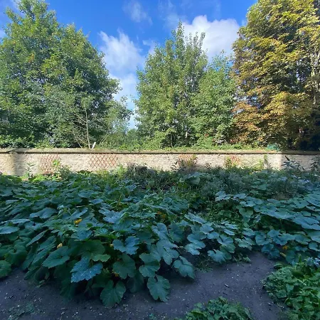 A 2h30 De Paris Et Bruxelles, Appt Avec Verger, Centre Historique, Plages A Proximite * Boulogne-sur-Mer